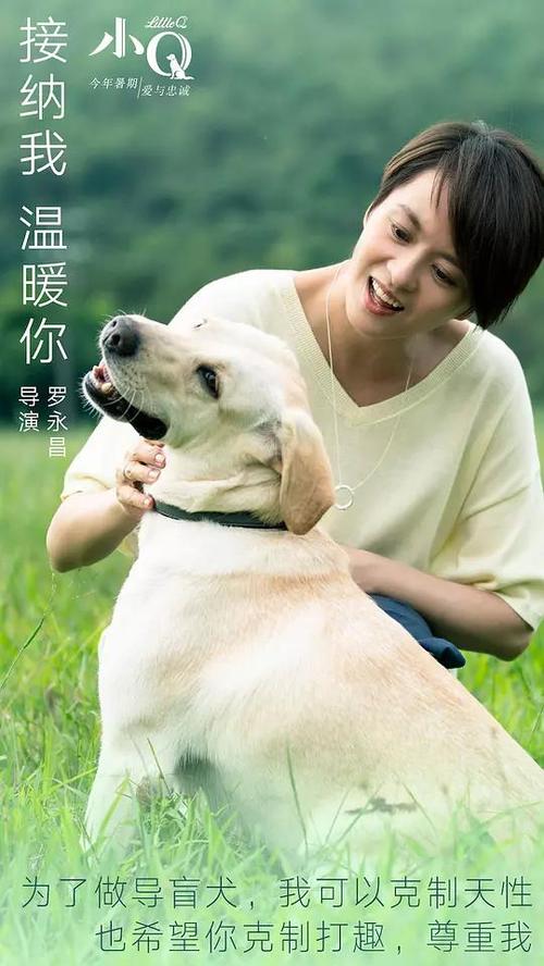 克莱瑞大学文凭毕业证作假